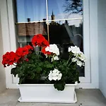 Huvoesvoelgy Vendeghaz Apartament *