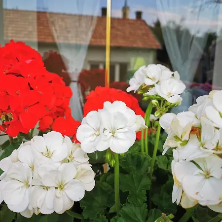 Hűvösvölgy Lókút