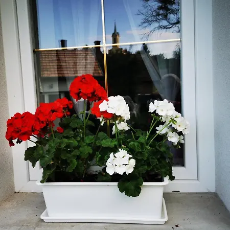 Hűvösvölgy Apartman *