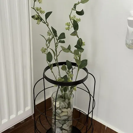 Apartman Hűvösvölgy *