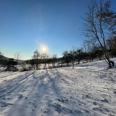 Apartman Hűvösvölgy *